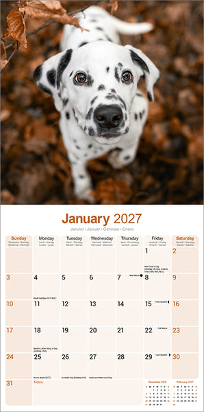 Dalmatian Kalender 2027