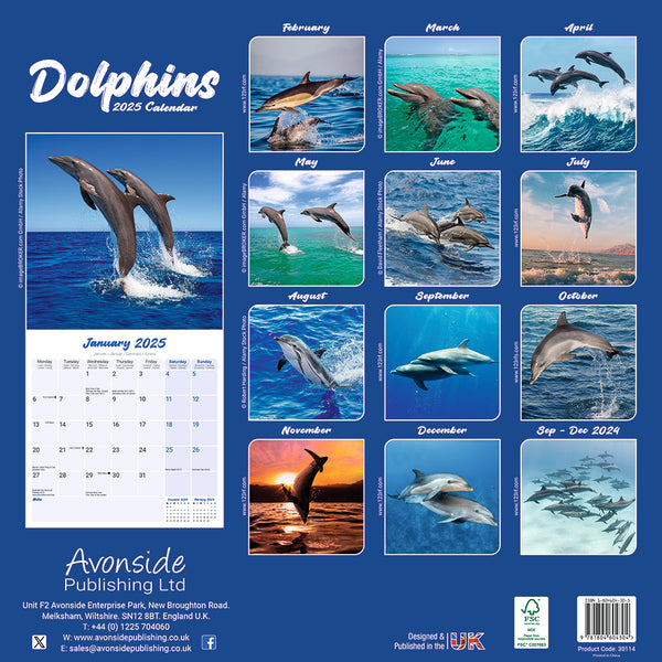 Dolphins Kalender 2025 De Kalenderman