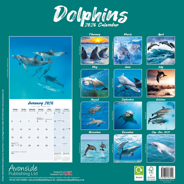 Dolphins Kalender 2026
