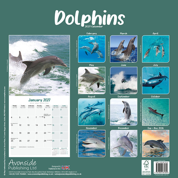 Dolphins Kalender 2027