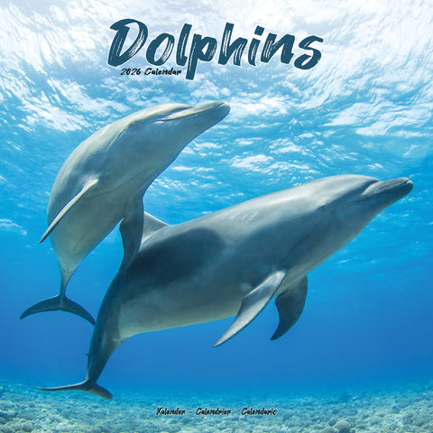 Dolphins Kalender 2026