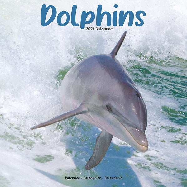 Dolphins Kalender 2027