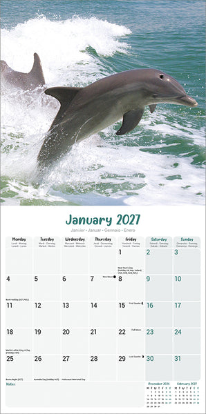 Dolphins Kalender 2027