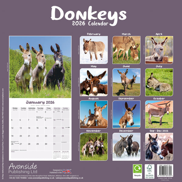 Donkeys Kalender 2026