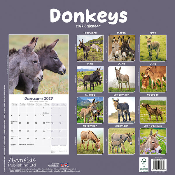 Donkeys Kalender 2027