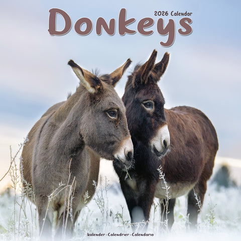 Donkeys Kalender 2026