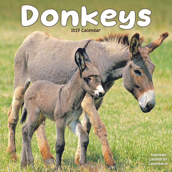Donkeys Kalender 2027