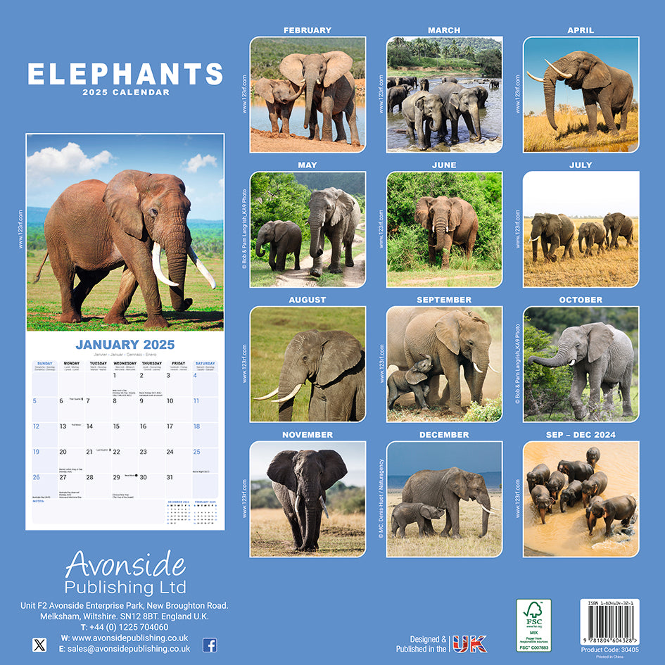 Elephants Kalender 2025 De Kalenderman