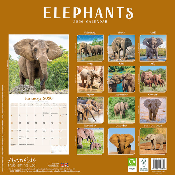 Elephants Kalender 2026