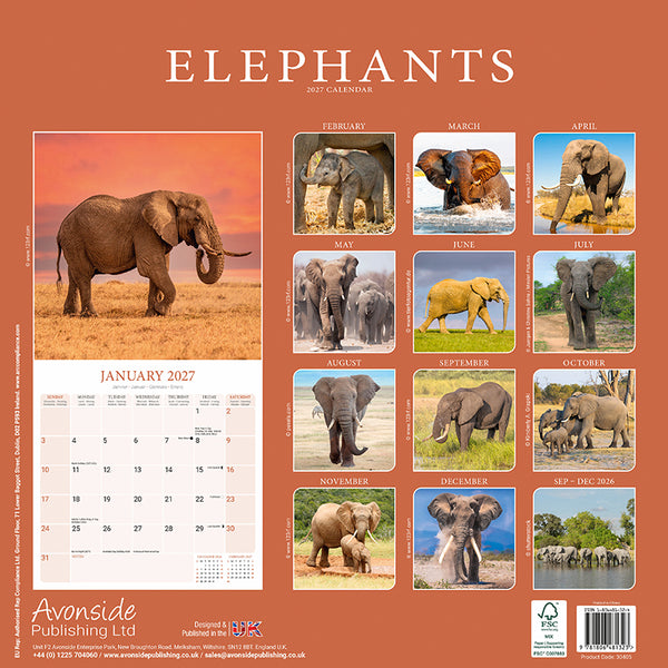 Elephants Kalender 2027