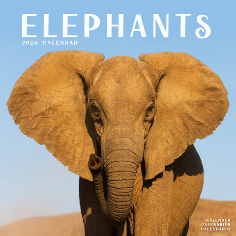 Elephants Kalender 2026