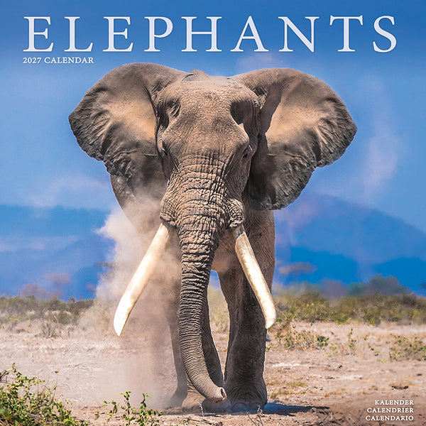Elephants Kalender 2027