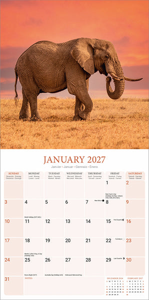 Elephants Kalender 2027