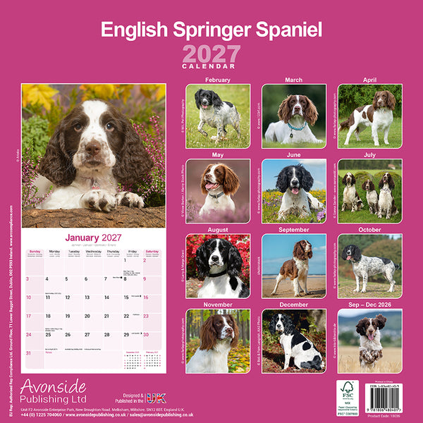English Springer Spaniel Kalender 2027