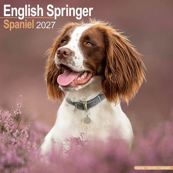 English Springer Spaniel Kalender 2027