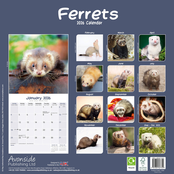 Ferrets Kalender 2026