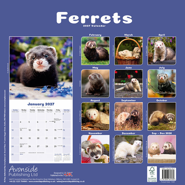 Ferrets Kalender 2027