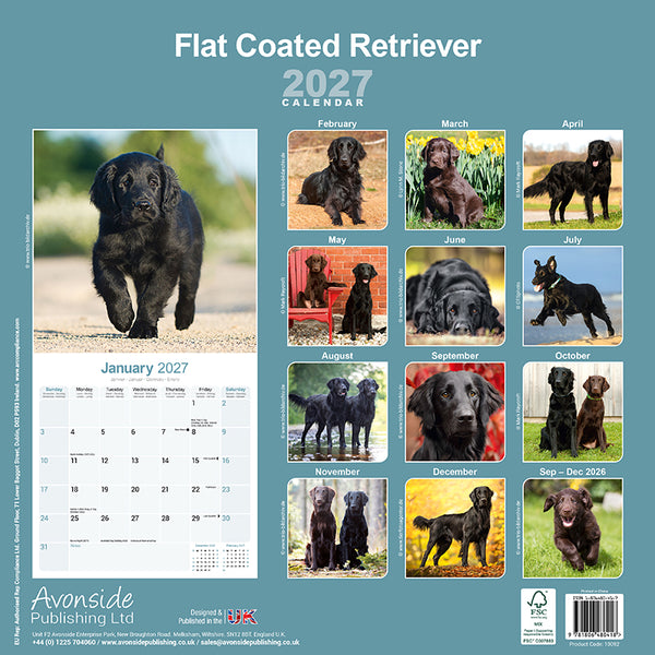 Flat Coated Retriever Kalender 2027