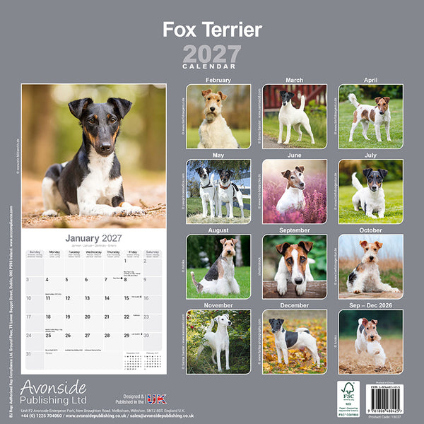 Fox Terrier Kalender 2027