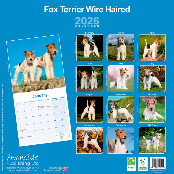 Fox Terrier Wire Haired Kalender 2026