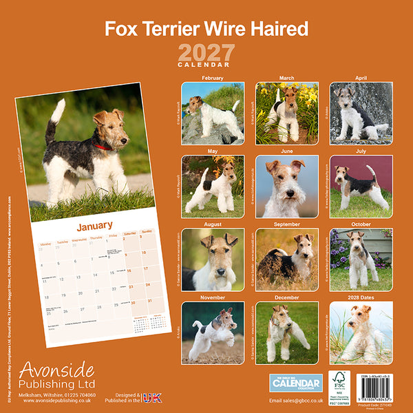 Fox Terrier Wire Haired Kalender 2027