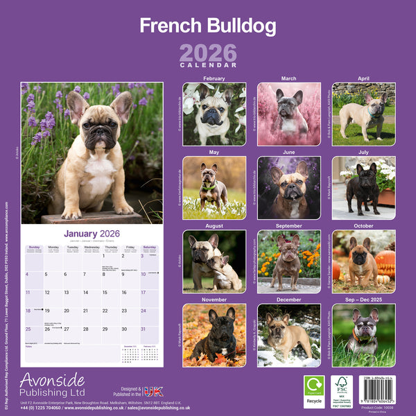 French Bulldog Kalender 2026