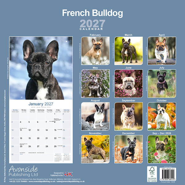 French Bulldog Kalender 2027