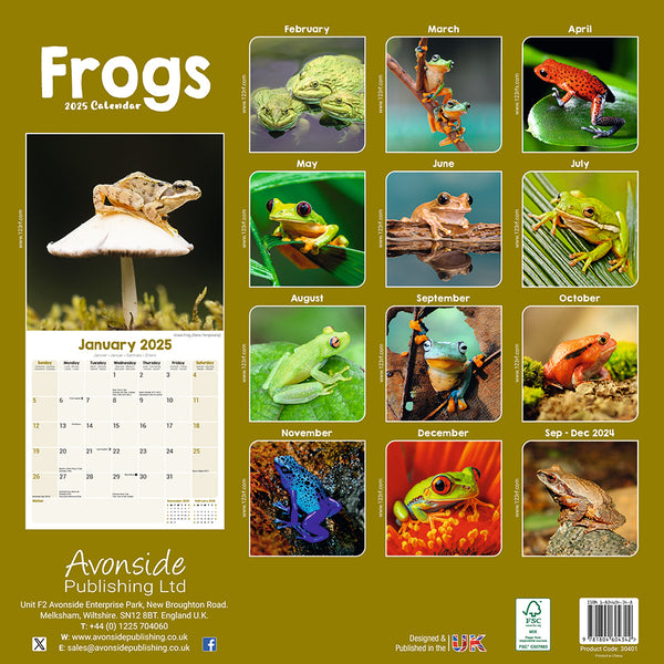 Frogs Kalender 2025 De Kalenderman