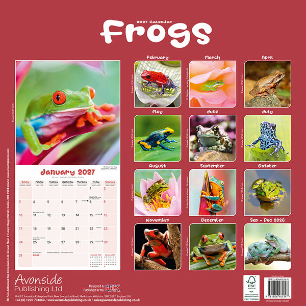 Frogs Kalender 2027