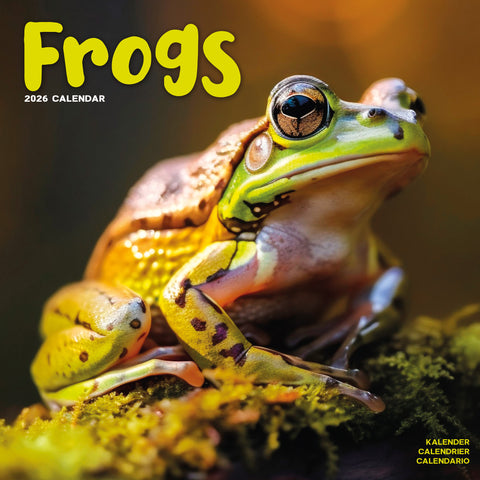 Frogs Kalender 2026