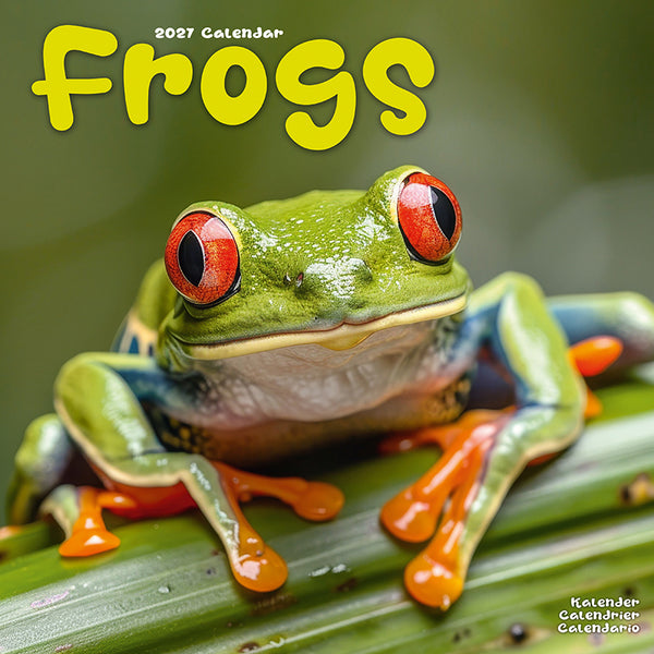 Frogs Kalender 2027
