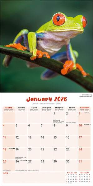 Frogs Kalender 2026
