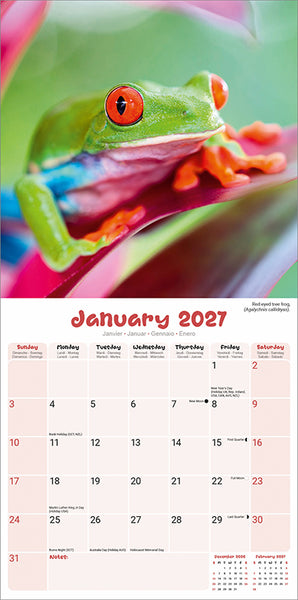 Frogs Kalender 2027