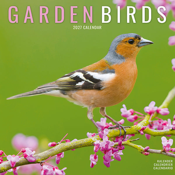 Garden Birds Kalender 2027