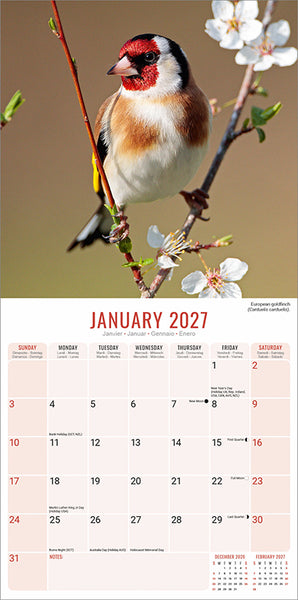 Garden Birds Kalender 2027