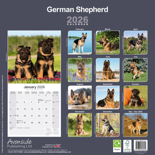 German Shepherd Kalender 2026