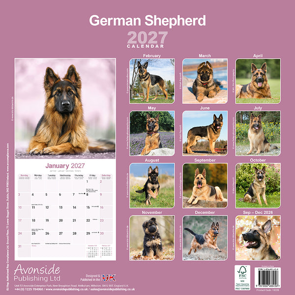 German Shepherd Kalender 2027