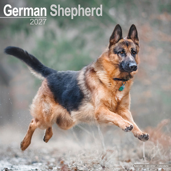 German Shepherd Kalender 2027