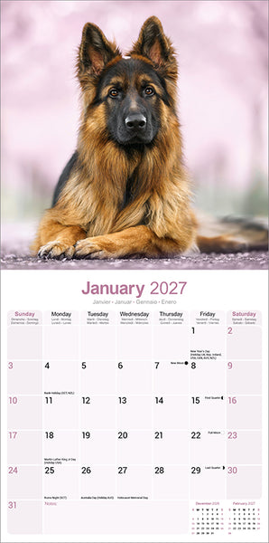 German Shepherd Kalender 2027