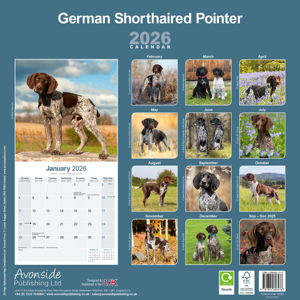 German Shorthaired Pointer Kalender 2026