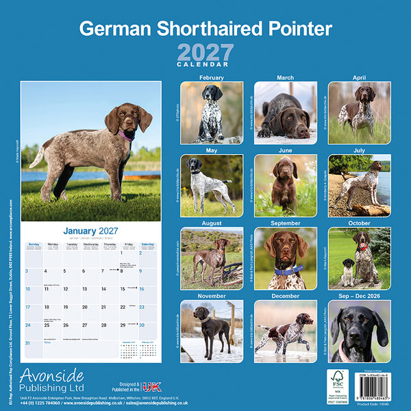 German Shorthaired Pointer Kalender 2027