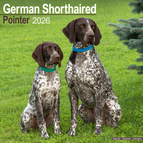 German Shorthaired Pointer Kalender 2026