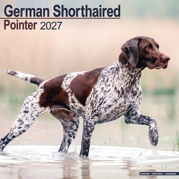 German Shorthaired Pointer Kalender 2027
