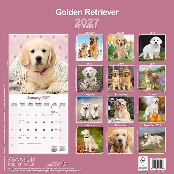 Golden Retriever Kalender 2027