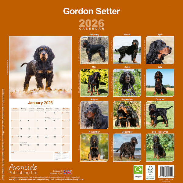 Gordon Setter Kalender 2026