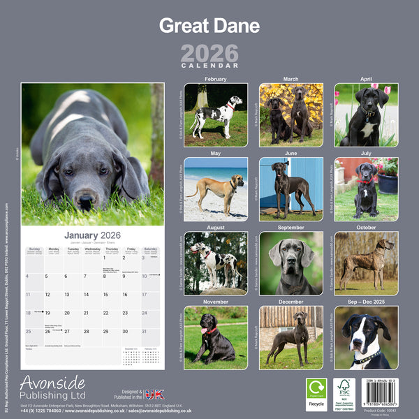 Great Dane Kalender 2026