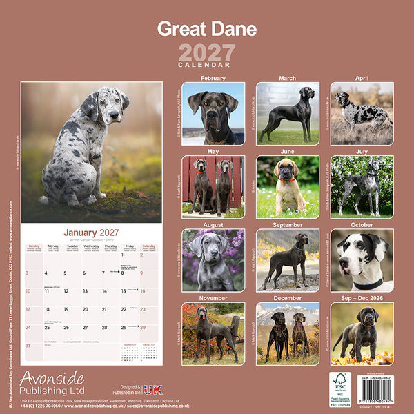 Great Dane Kalender 2027