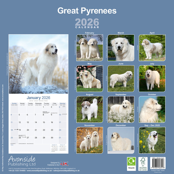 Great Pyrenees Kalender 2026