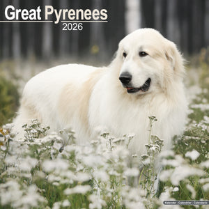 Great Pyrenees Kalender 2026