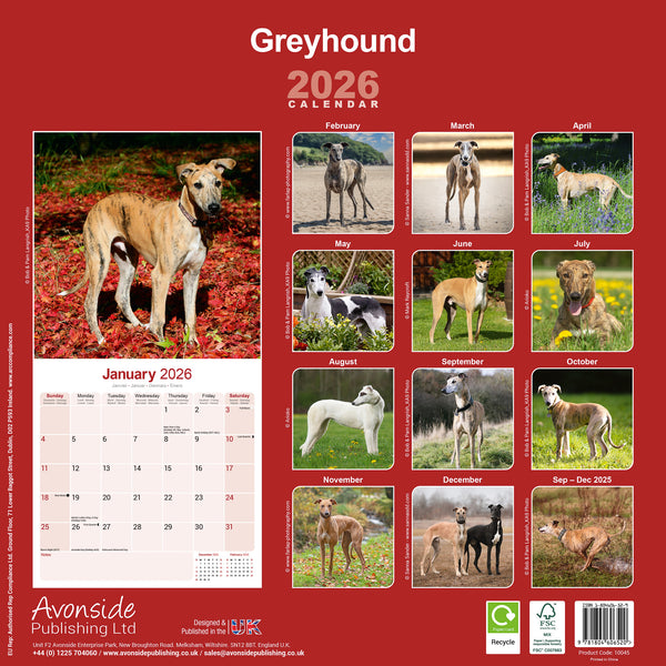 Greyhound Kalender 2026
